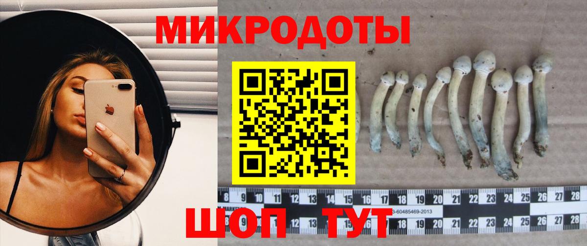 Губкин  Псилоцибиновые грибы мухоморы  купить наркоту  Псилоцибиновые грибы мухоморы  Вход с VPN 