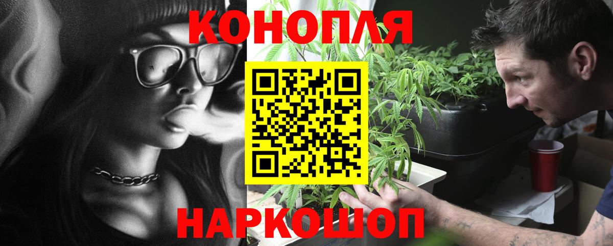 Каннабис гибрид Губкин
